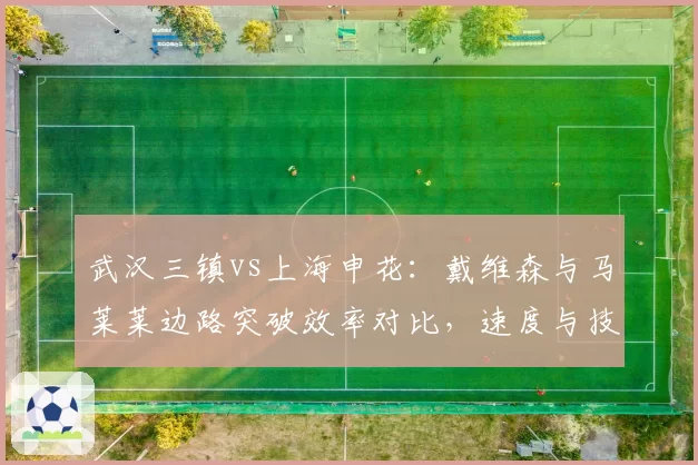 武汉三镇vs上海申花：戴维森与马莱莱边路突破效率对比，速度与技巧的较量谁占优？