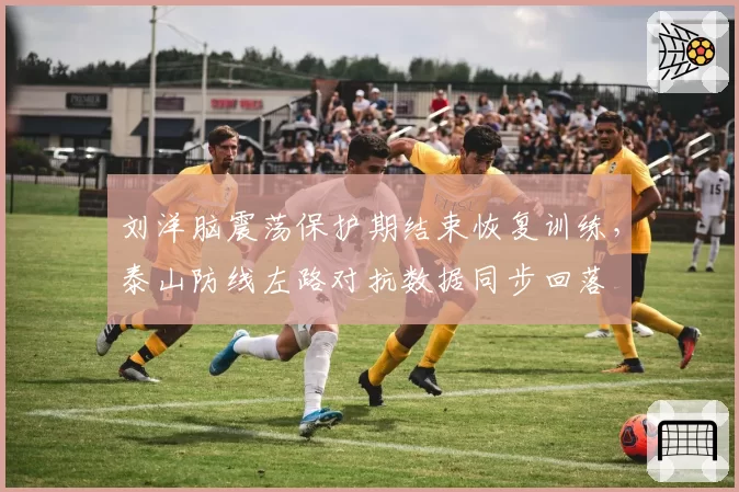 刘洋脑震荡保护期结束恢复训练,泰山防线左路对抗数据同步回落